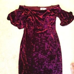 Eliza J velvet Cocktail dress.